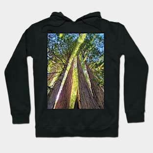 Lightbeams Hoodie